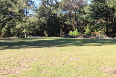 3320 French Santee Rd, Jamestown, SC 29453 - photo 6