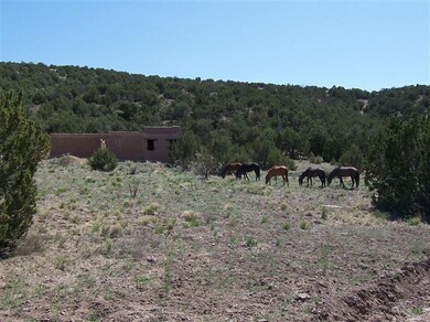 82 Paseo de San Antonio, Placitas, NM 87043 - photo 6