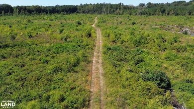 Tbd Highway 63, Ruffin, SC 29475 - photo 3