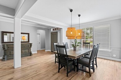 Dining area with ornamental molding and light hardwood / wood-style flooring