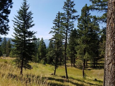 Nhn Torto Loop, Kila, MT 59920 - photo 6