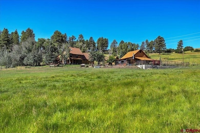 1801 County Road 400, Pagosa Springs, CO 81147 - photo 7