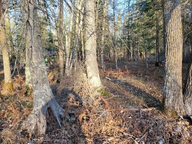 XXX Rapid River, Baudette, MN 56623 - photo 5