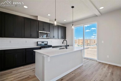 22120 Cattlemen Run, Calhan, CO 80808 - photo 5