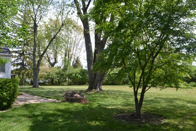 2673 Saint Joseph Ave, Columbus, OH 43204 - photo 5