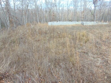 0 Wallace Way unit 993017, Grimsley, TN 38565 - photo 4