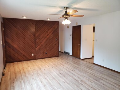 Livingroom accent wall