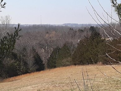 View from Deck