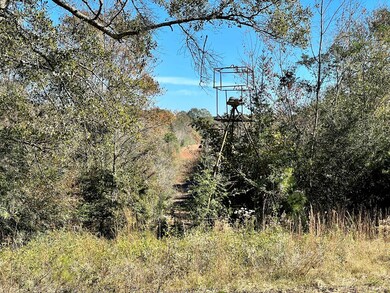 78-83 Rogers Ln, Tylertown, MS 39667 - photo 2