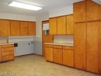 521 Sunrise Dr, Chenoa, IL 61726 - photo 6