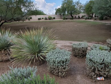 Large neighborhood Park
