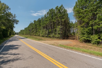 0 Old Windmill Rd unit 24711444, Ridgeway, SC 29130 - photo 3