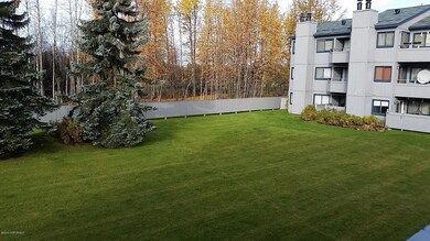 Views from Deck