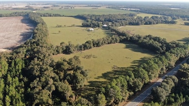 6514 Newton Hwy, Colquitt, GA 39837 - photo 4