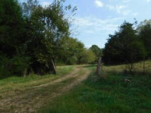 DSCN7361 land