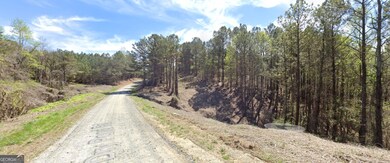 3 WEST Dry Pond Rd, Ranger, GA 30734 - photo 5