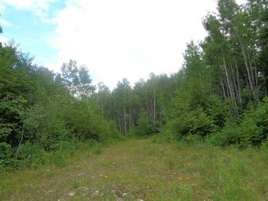 Land/Lot