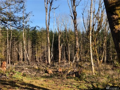 22 Nickelbush Rd, Quilcene, WA 98376 - photo 4