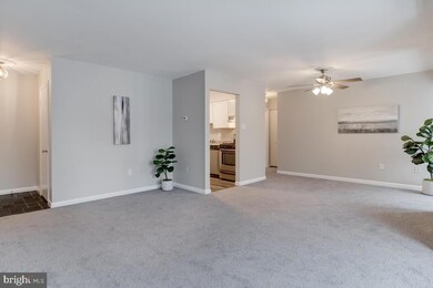 8850 Spiral Cut unit L, Columbia, MD 21045 - photo 7