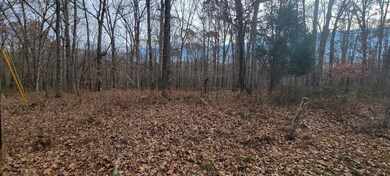 1081 Edenway Rd, Dover, TN 37058 - photo 3