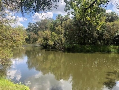 0 US Hwy 17 unit F10540160, Wauchula, FL 33873 - photo 2