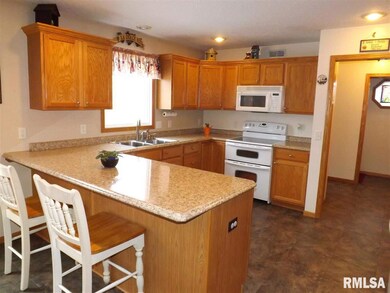 1641 W 66th St, Davenport, IA 52806 - photo 4