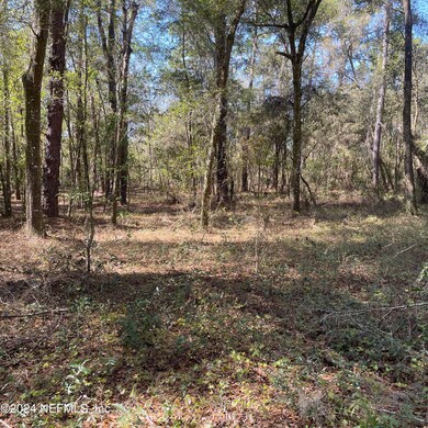 0 Yawn Avenue, Interlachen, Florida