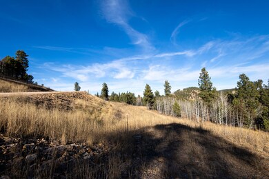 Lots 45 & 46 Golden Hills, Sturgis, SD 57785 - photo 2