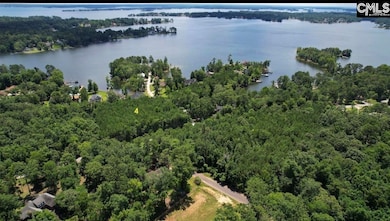 0 Three Point Rd, Chapin, SC 29036 - photo 4