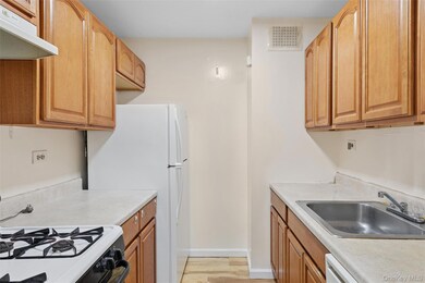 Village Mall at Hillcrest unit 1R, Flushing, NY 11367 - photo 6