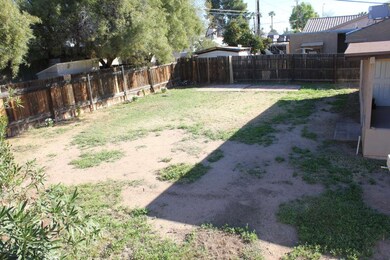 Large backyard