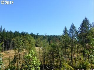 12267 S Groshong Rd, Molalla, OR 97038 - photo 6