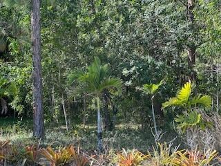 000 129th Ave N, the Acreage, FL 33411 - photo 6