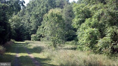 0 Everett Ln unit 1003968798, Louisa, VA 23093 - photo 4