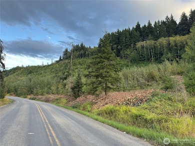 Lot 4 from Skinner Rd