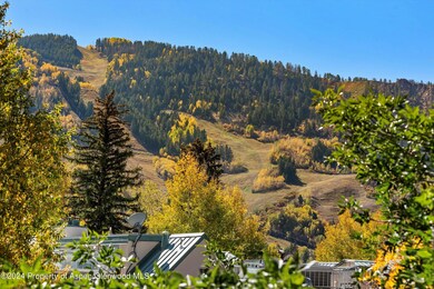 Aspen Mountain View