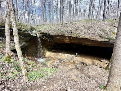 0 Little Kyger Rd, Cheshire, OH 45620 - photo 4