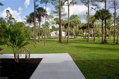 Looking Out from Front Entry