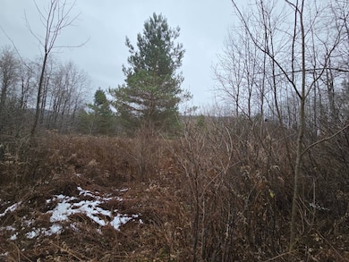 421 Beaver Meadow Rd, Plymouth, NY 13832 - photo 5