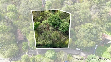 Aerial View/Approximate Lot Lines