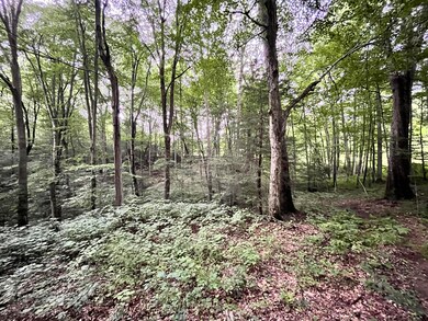 772 Leivasy Rd, Nettie, WV 26681 - photo 4