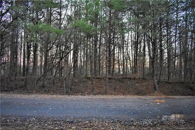 113 Cottontail Ln unit 7, Statesville, NC 28677 - photo 4