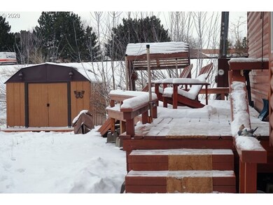Shed