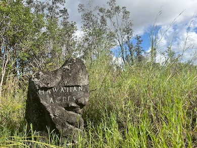 PASS THIS FORMIDABLE SIGN BY BEARING RIGHT ONTO PUHALA ST, HEADING FOR 1 (UHINI ANA) ROAD.