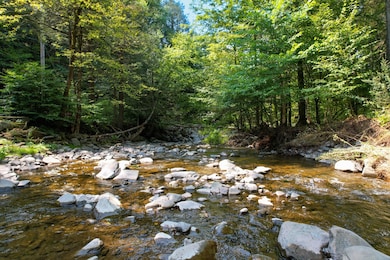 3774 Methol Rd, East Branch, NY 13756 - photo 6