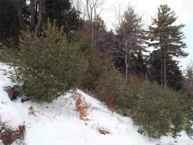 Lot 14 Trailside Way, Bridgton, ME 04009 - photo 5