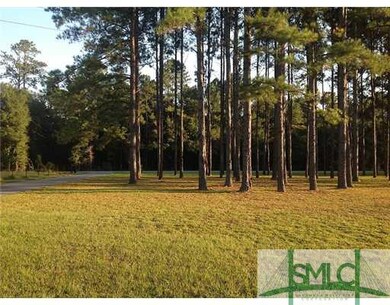 Yard/Garden. front yard
