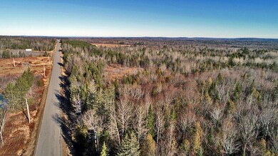 land-in-me-woods-1