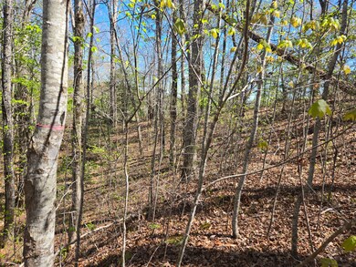 Tbd Hornet Dr, Whittier, NC 28789 - photo 5