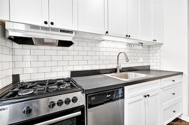 Kitchen with stainless steel appliances, white cabinetry, decorative backsplash, and under cabinet range hood